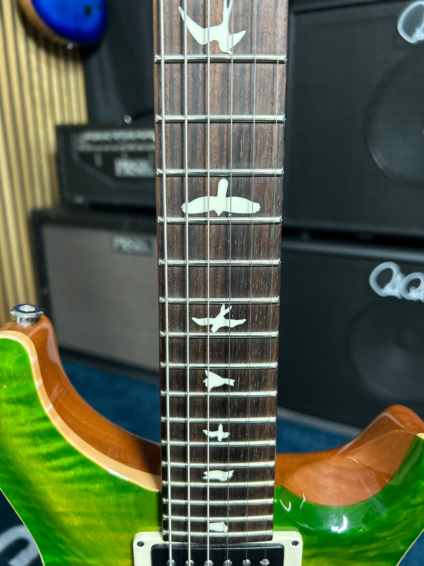 CE 24 - Eriza Verde
