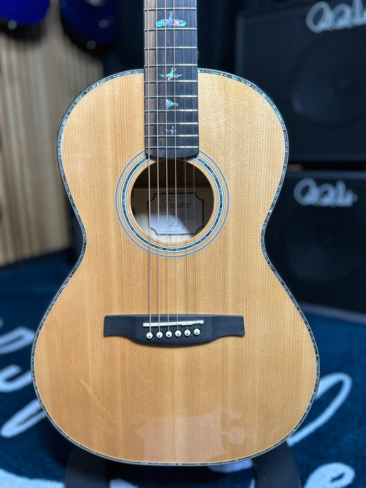 Acoustic SE Tonare P50E - Natural with Black / Gold Burst