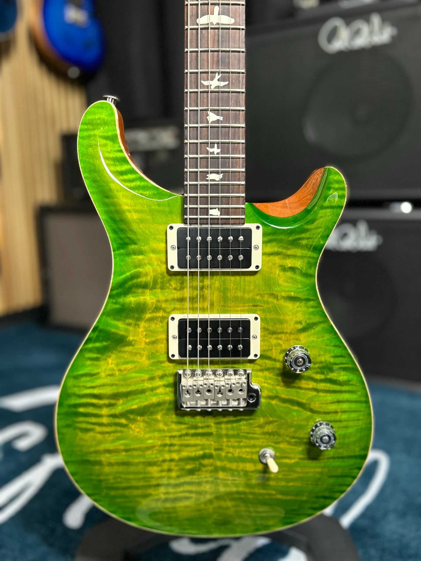 CE 24 - Eriza Verde