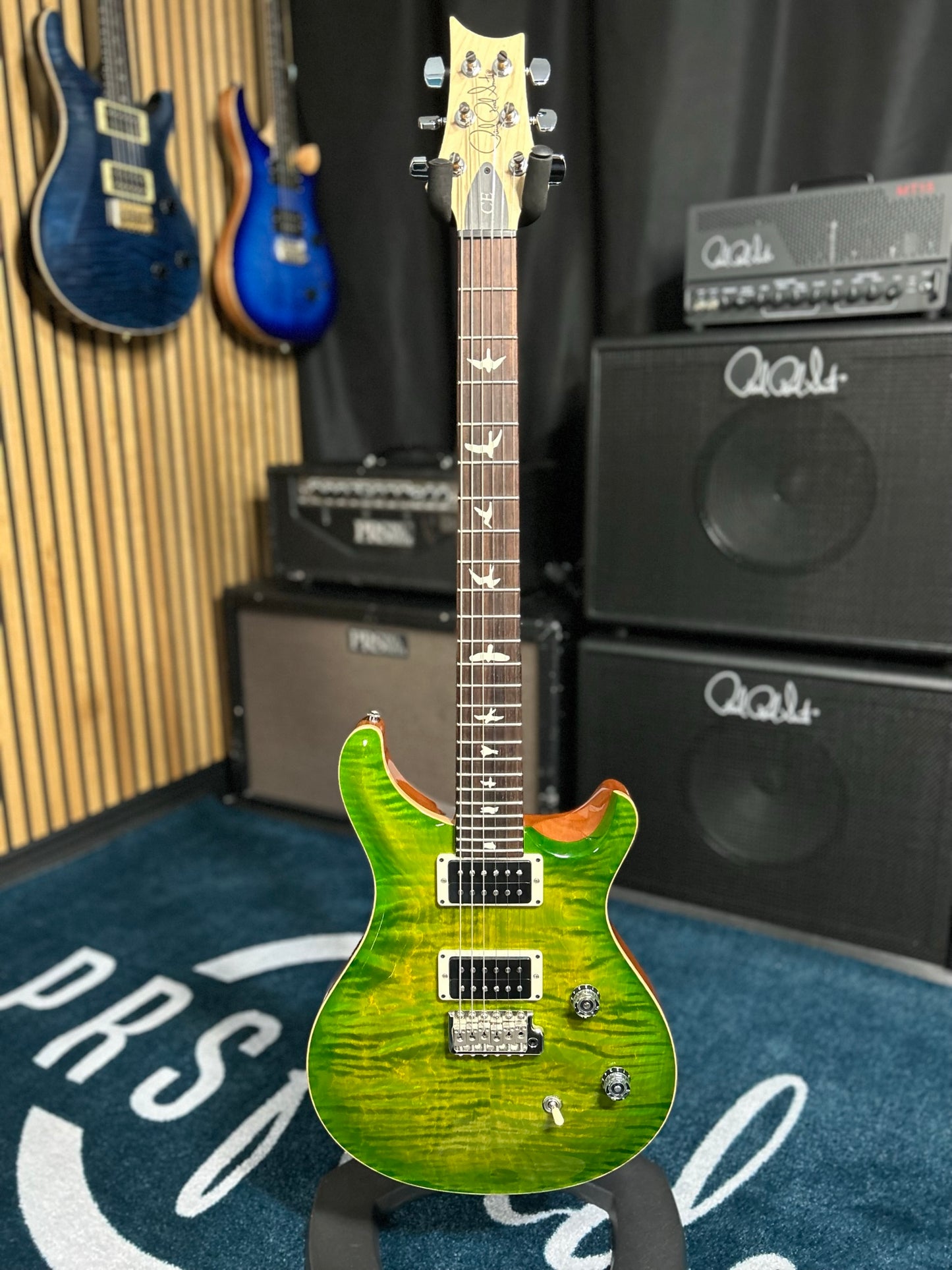CE 24 - Eriza Verde
