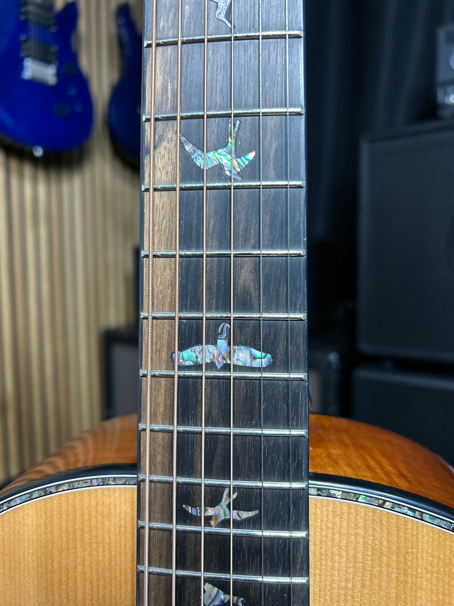 Acoustic SE Tonare P50E - Natural with Black / Gold Burst