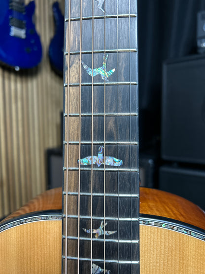 Acoustic SE Tonare P50E - Natural with Black / Gold Burst