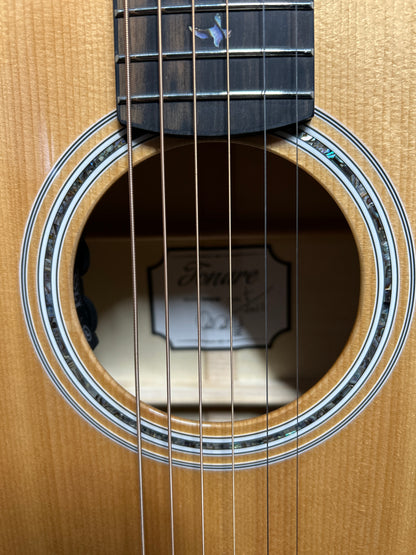 Acoustic SE Tonare P50E - Natural with Black / Gold Burst