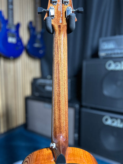 Acoustic SE Tonare P50E - Natural with Black / Gold Burst
