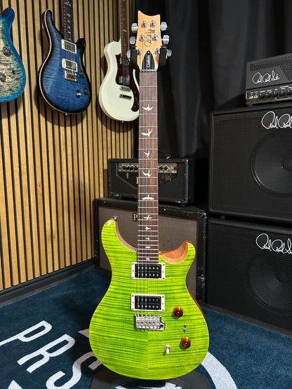 SE Custom 24-08 - Eriza Verde (2023)